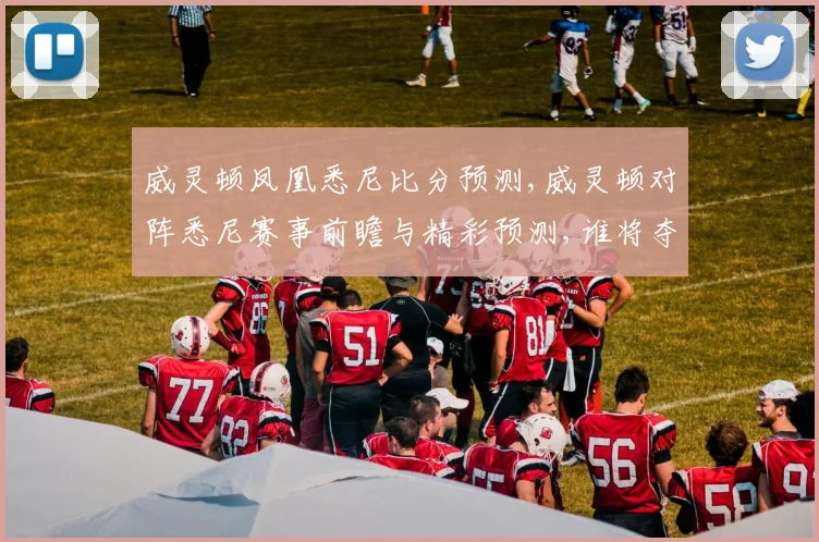威灵顿凤凰悉尼比分预测,威灵顿对阵悉尼赛事前瞻与精彩预测,谁将夺冠