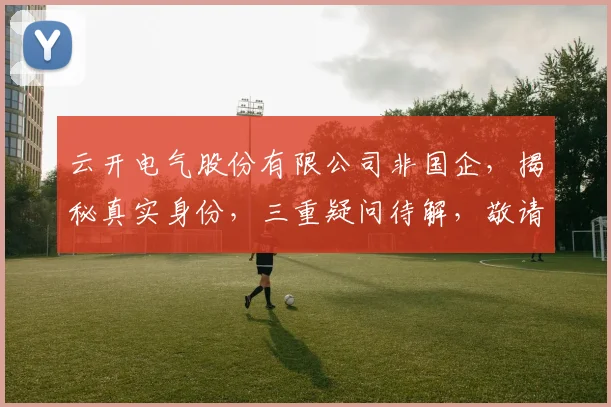 云开电气股份有限公司非国企，揭秘真实身份，三重疑问待解，敬请关注。