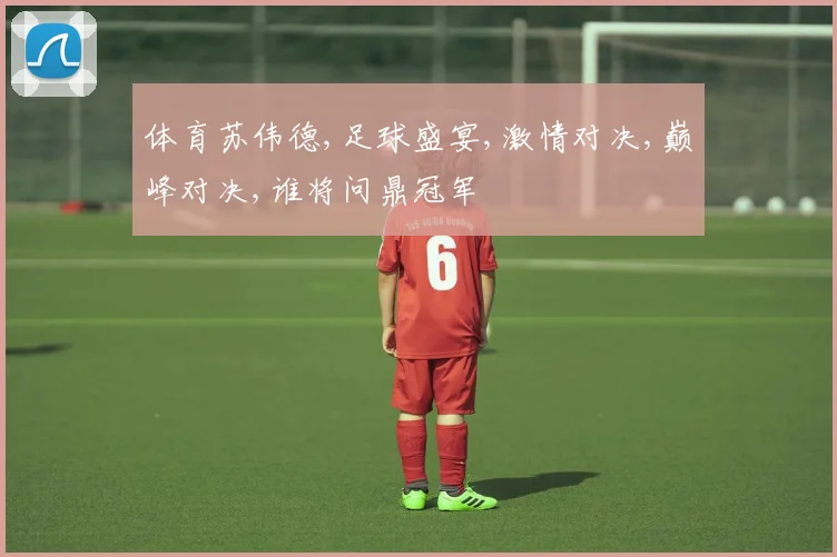 体育苏伟德,足球盛宴,激情对决,巅峰对决,谁将问鼎冠军