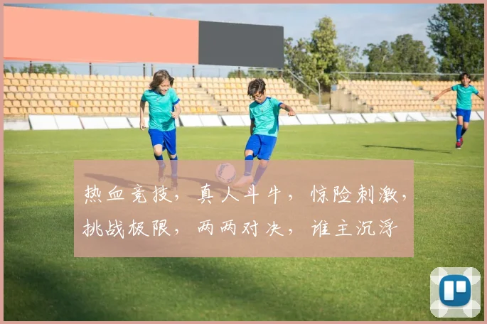 热血竞技，真人斗牛，惊险刺激，挑战极限，两两对决，谁主沉浮
